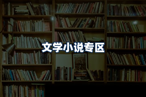 文学小说PDF展示